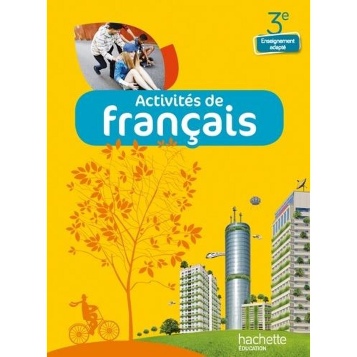 ACTIVITES DE FRANCAIS 3E ENSEIGNEMENT ADAPTE, Damour Frédéric