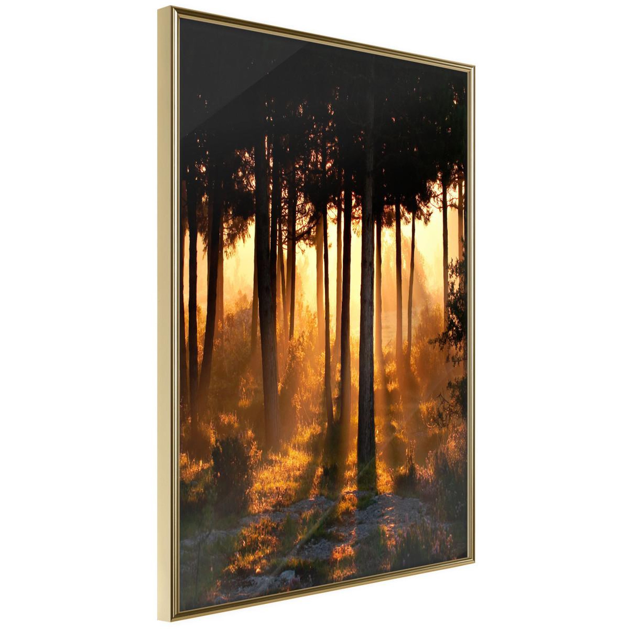 Voir la diapositive 1 : Paris Prix Affiche Murale Encadrée  Dark Tree Tops