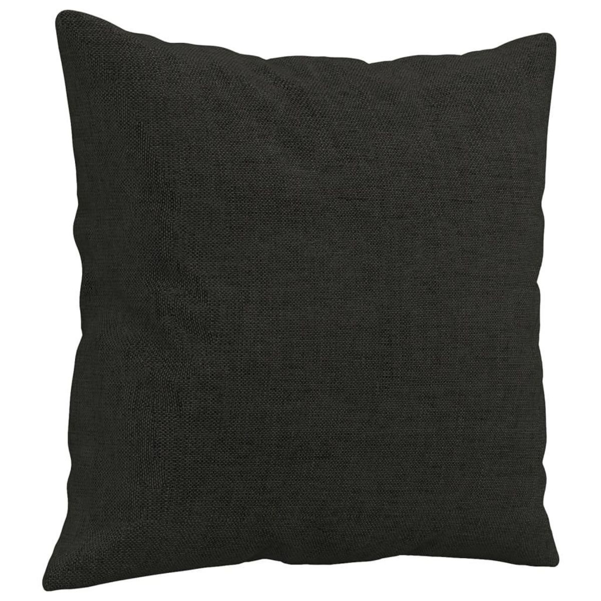 VIDAXL Coussins decoratifs lot de 2 Noir 40x40 cm Tissu
