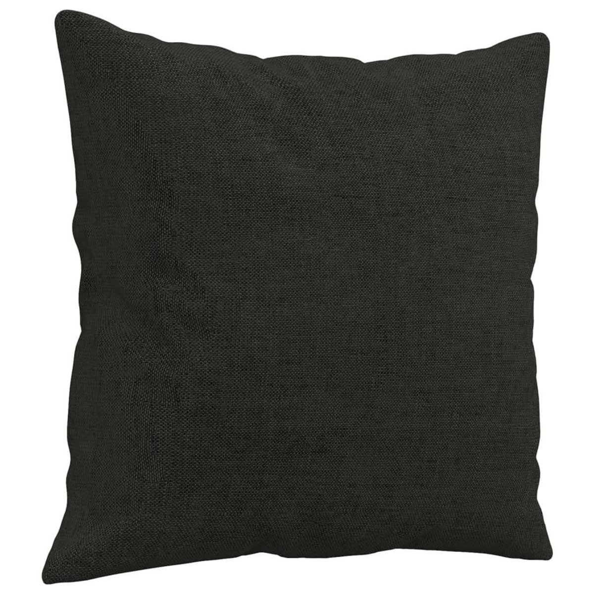 VIDAXL Coussins decoratifs lot de 2 Noir 40x40 cm Tissu