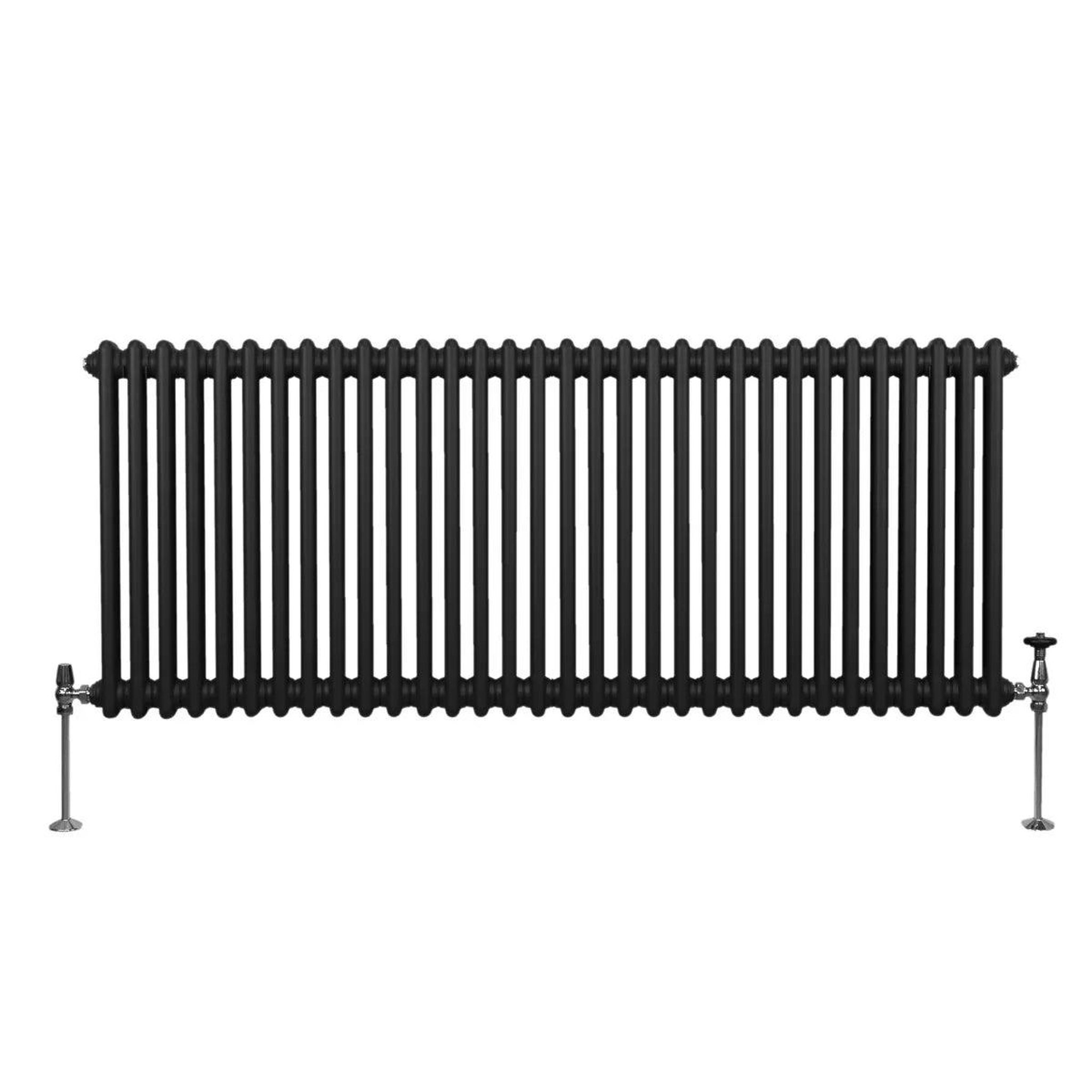 Voir la diapositive 2 : MONSTERSHOP Radiateur traditionnel à 2 colonnes – 600 x 1462 mm