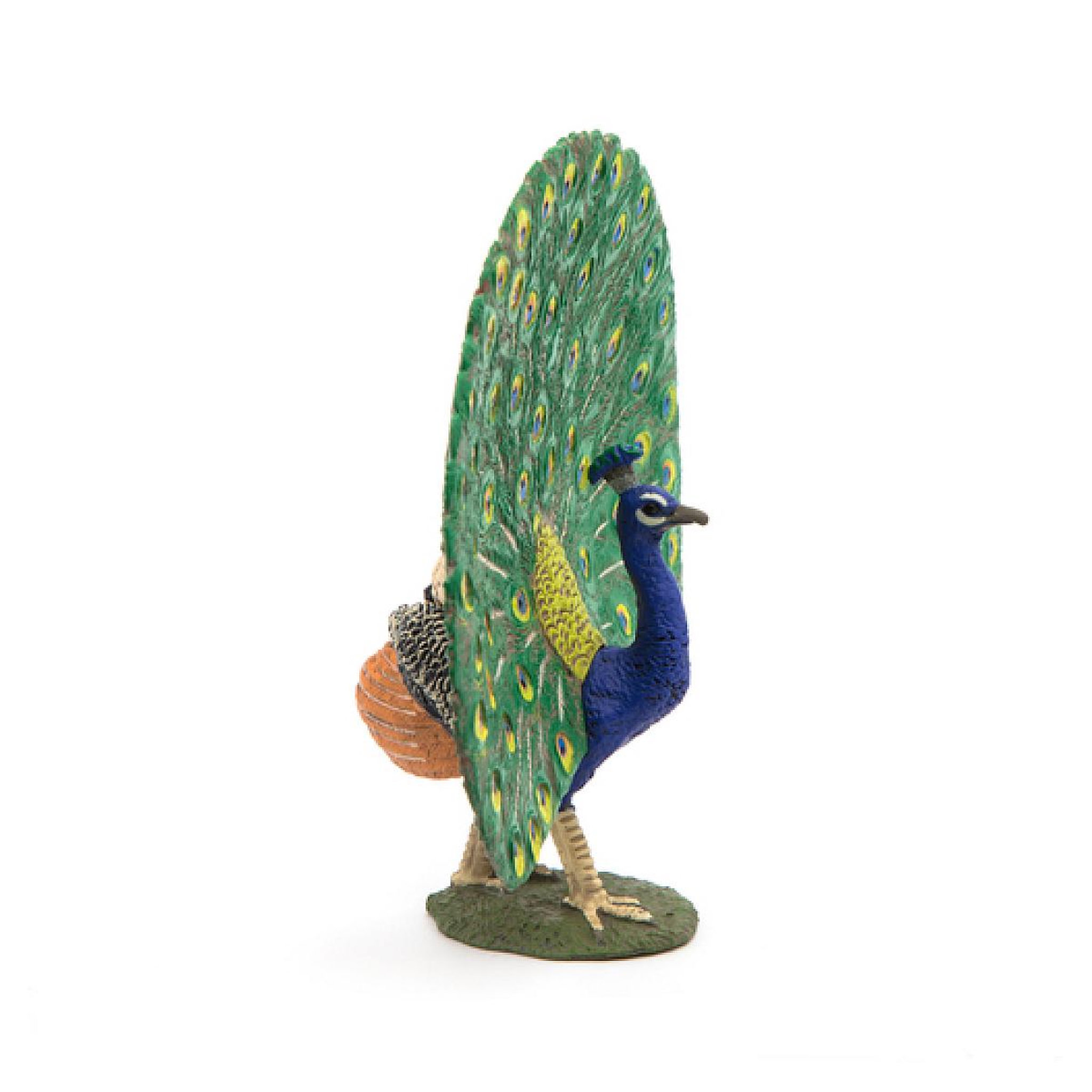 Voir la diapositive 4 : Papo 51161 Paon - figurine