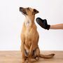 Voir la diapositive 4 : Paris Prix Gant de Brossage pour Chien & Chat  1 Face  24cm Noir