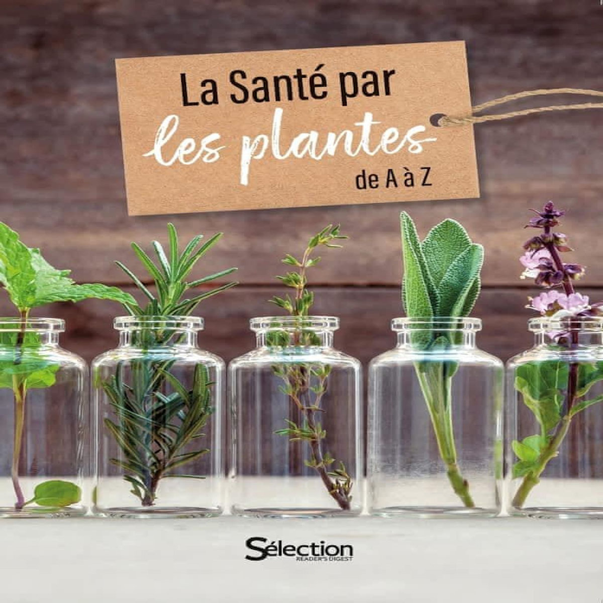 LA SANTE PAR LES PLANTES DE A A Z, Selection Reader's Digest