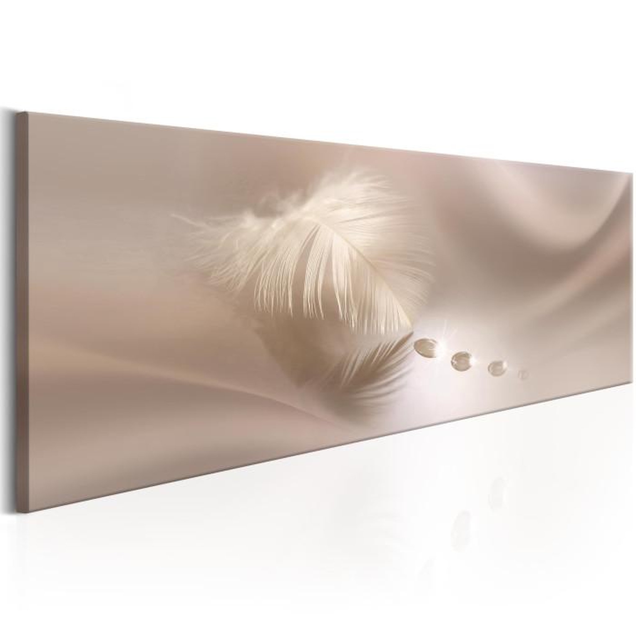 Paris Prix Tableau Imprimé  Delicate Feather. Coloris disponibles : Multicolore