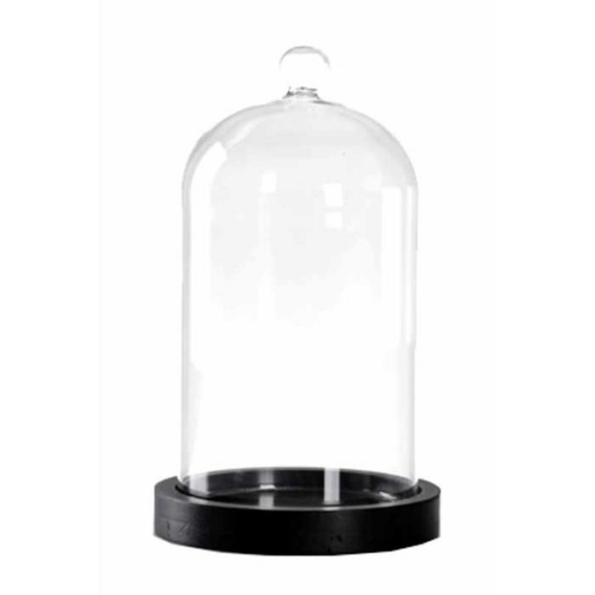 ATMOSPHERA Cloche Décorative en Verre  Dara  19cm Transparent