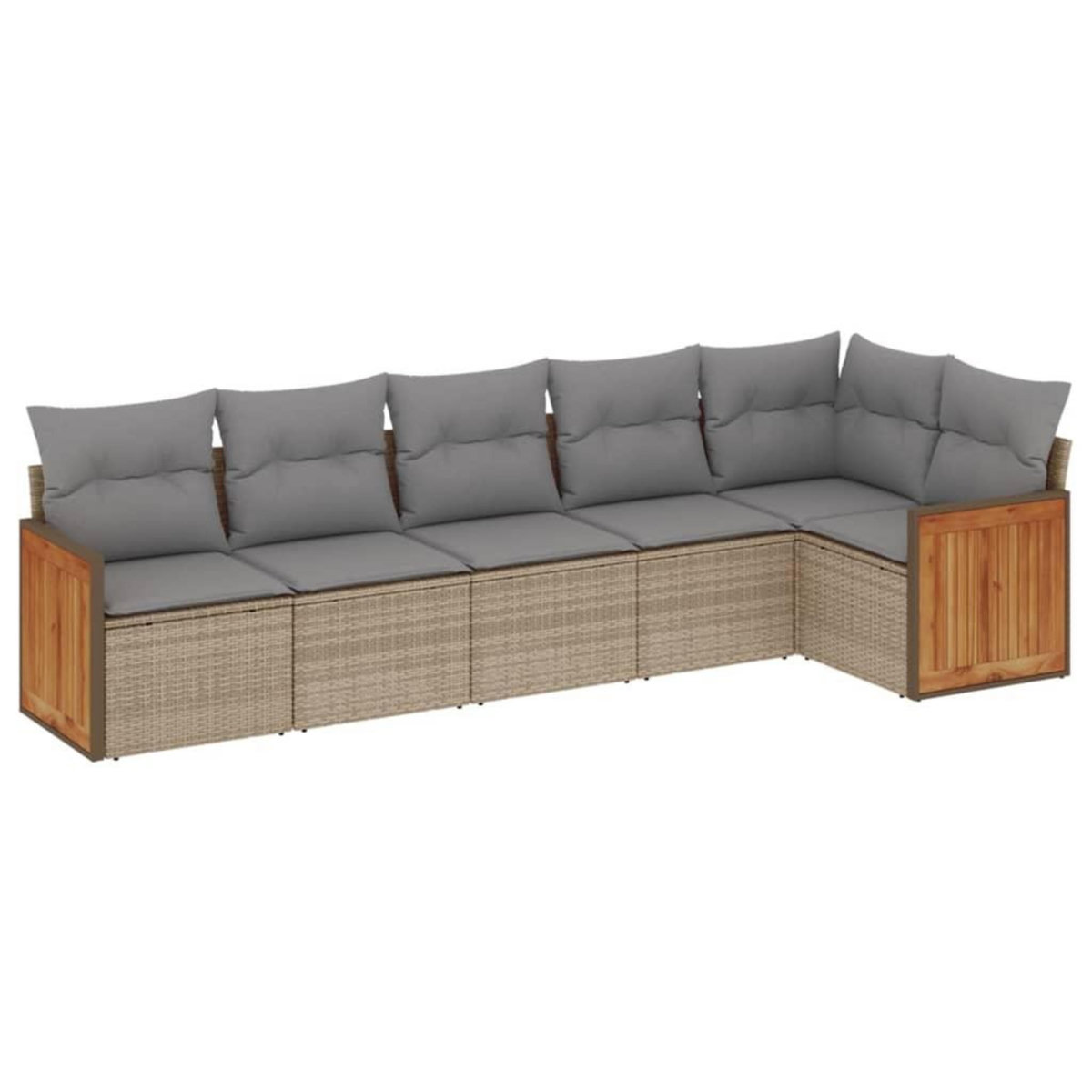 VIDAXL Salon de jardin avec coussins 6 pcs beige resine tressee