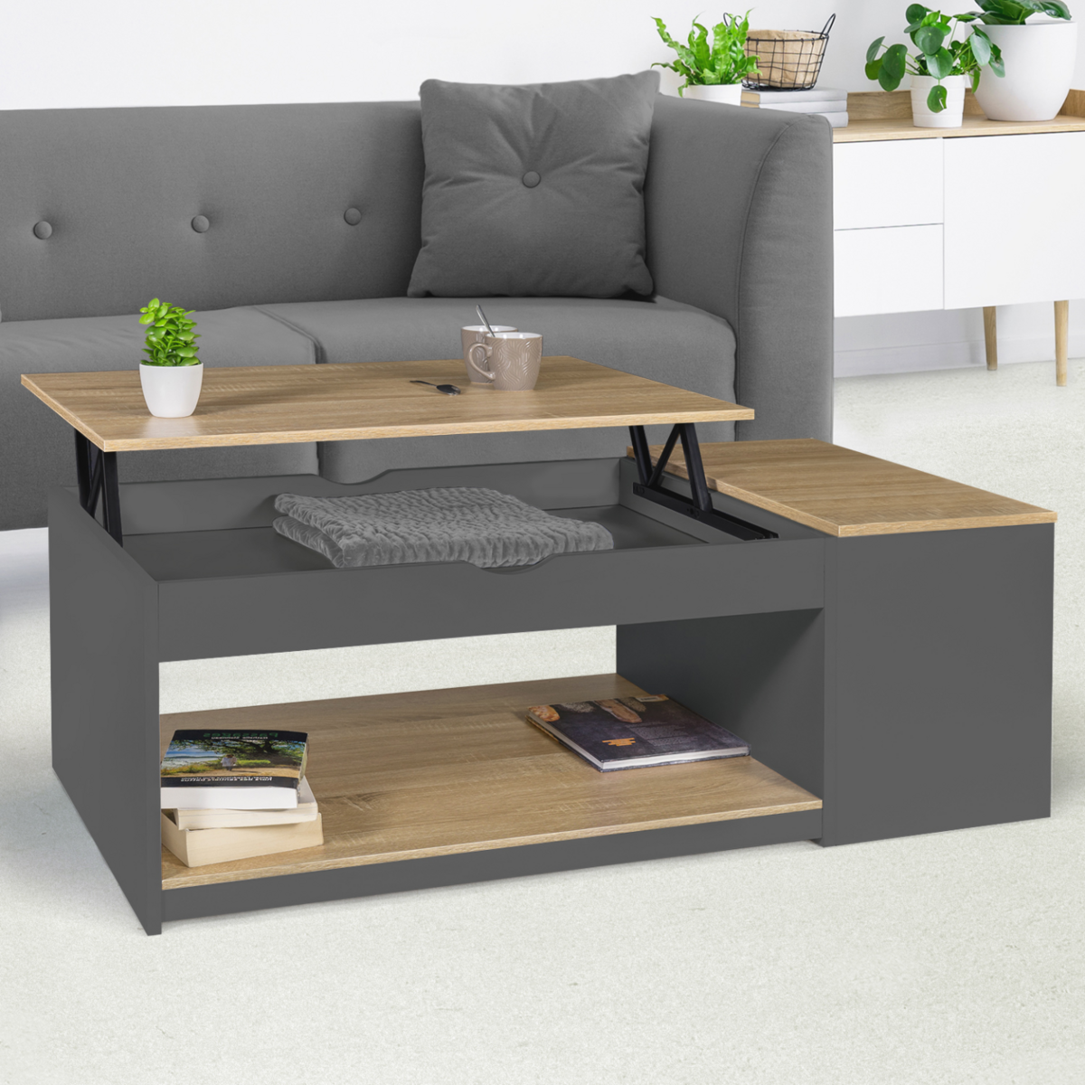 ID MARKET Table basse plateau relevable rectangulaire ELEA avec coffre bois gris et façon hêtre