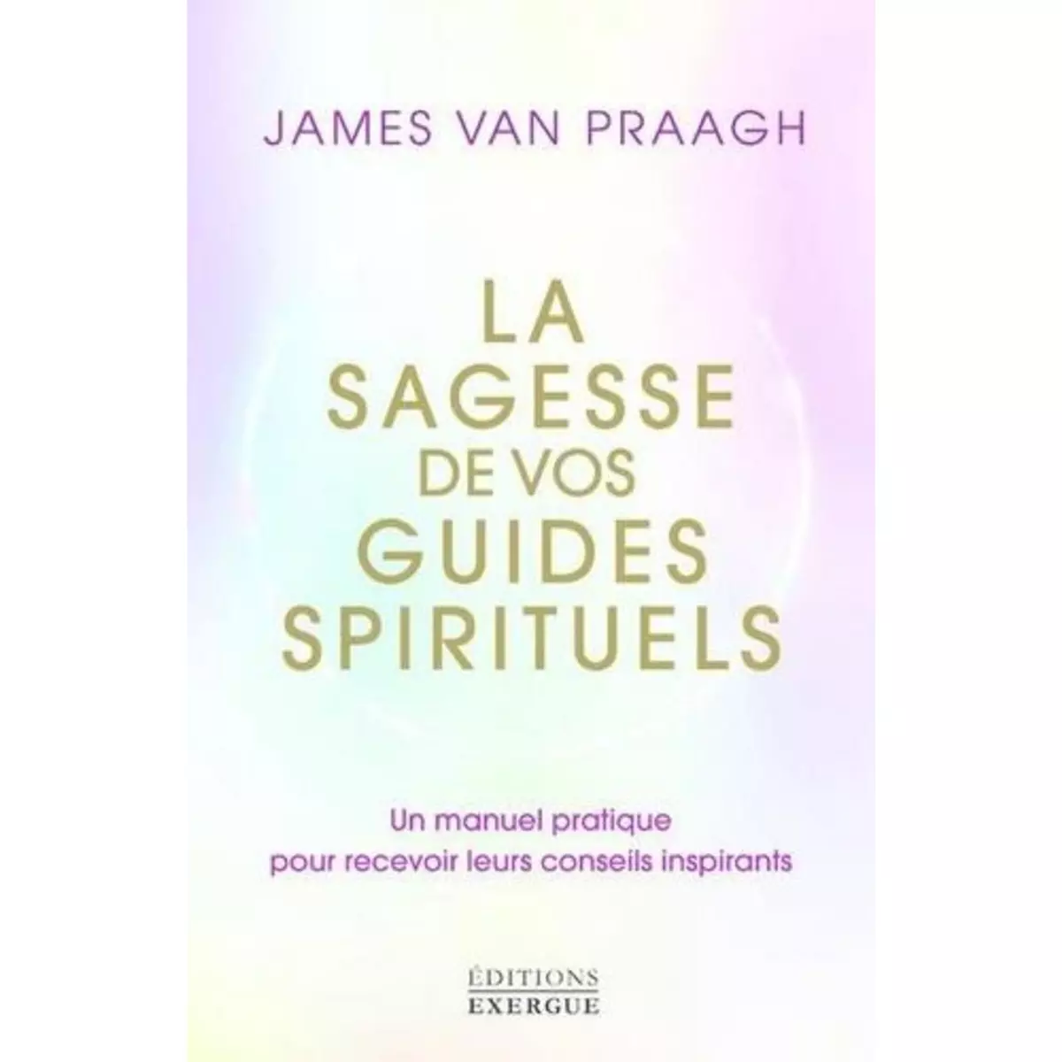  LA SAGESSE DE VOS GUIDES SPIRITUELS. UN MANUEL PRATIQUE POUR RECEVOIR LEURS CONSEILS INSPIRANTS, Van Praagh James