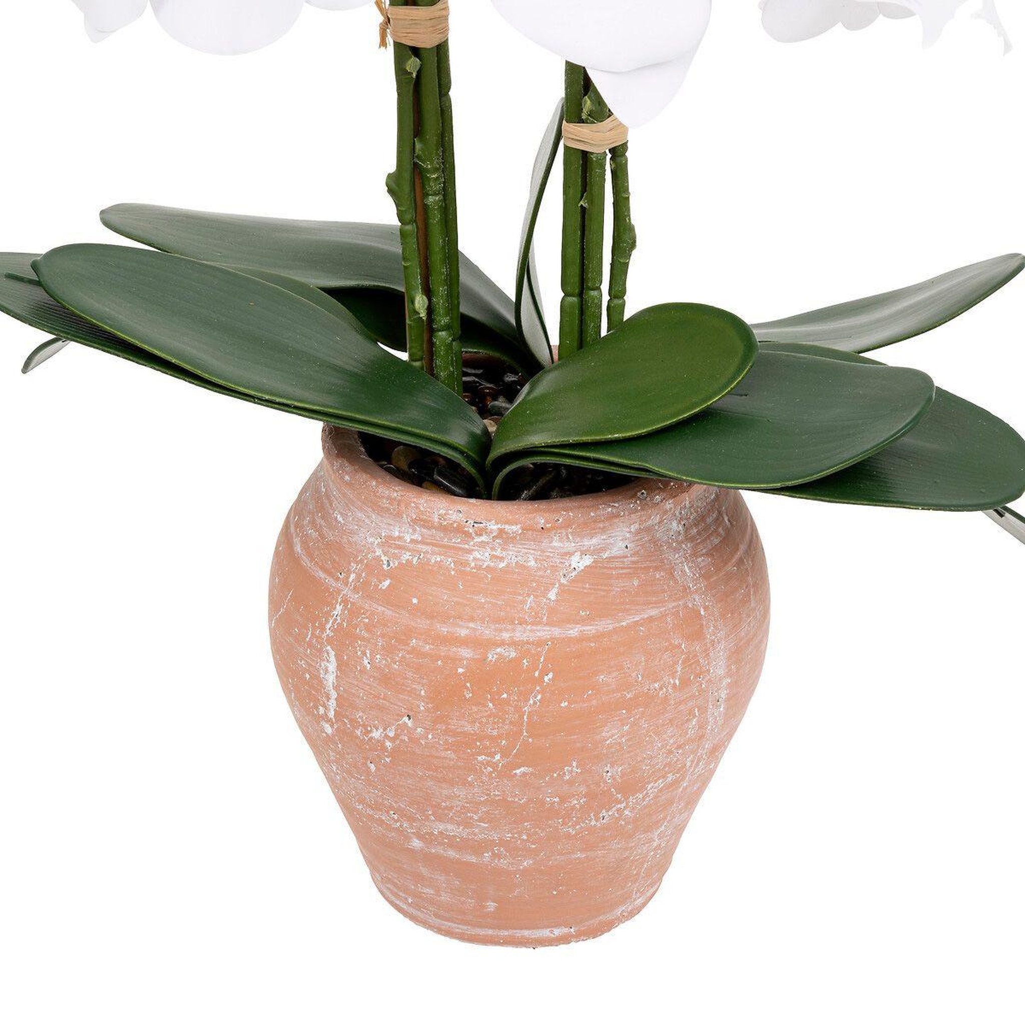 Voir la diapositive 3 : ATMOSPHERA Orchidée artificielle en pot  dena  65cm blanc