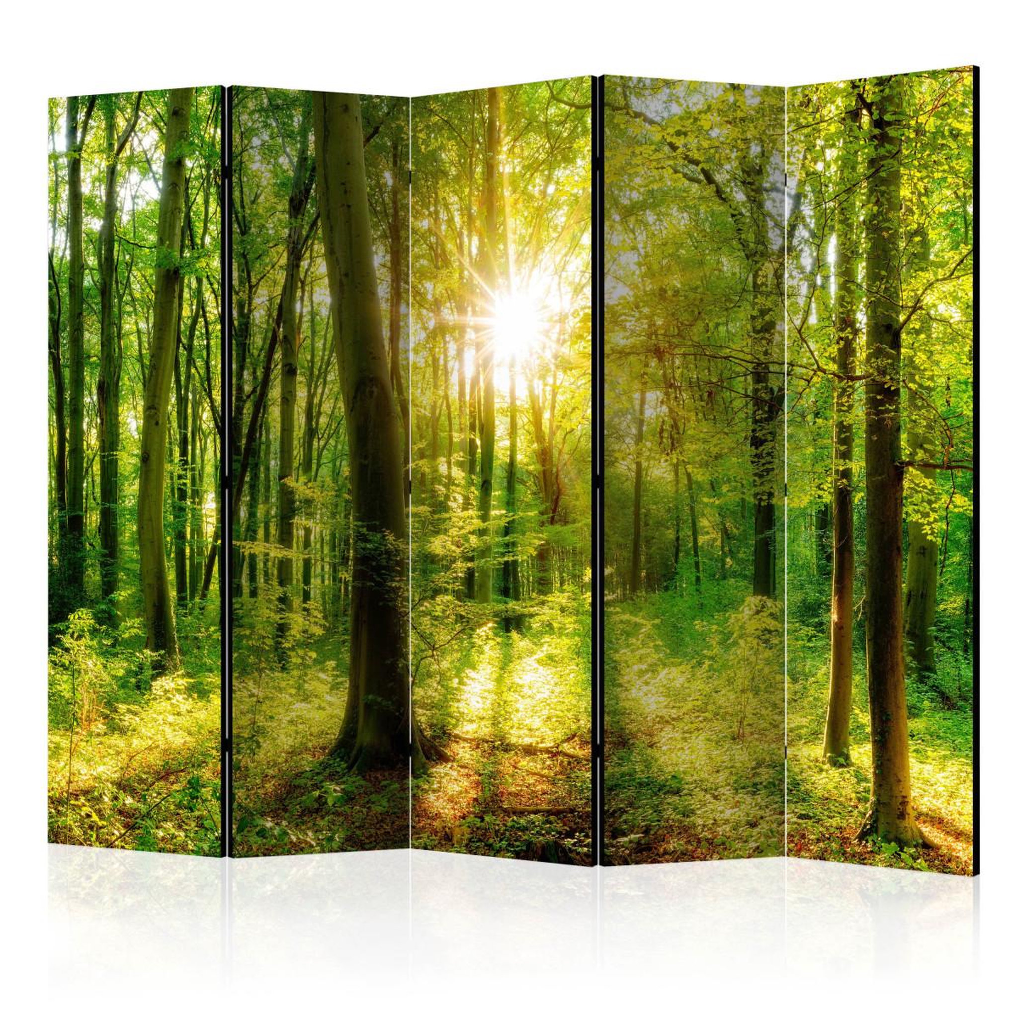 Paris Prix Paravent 5 volets  forest rays  172x225cm