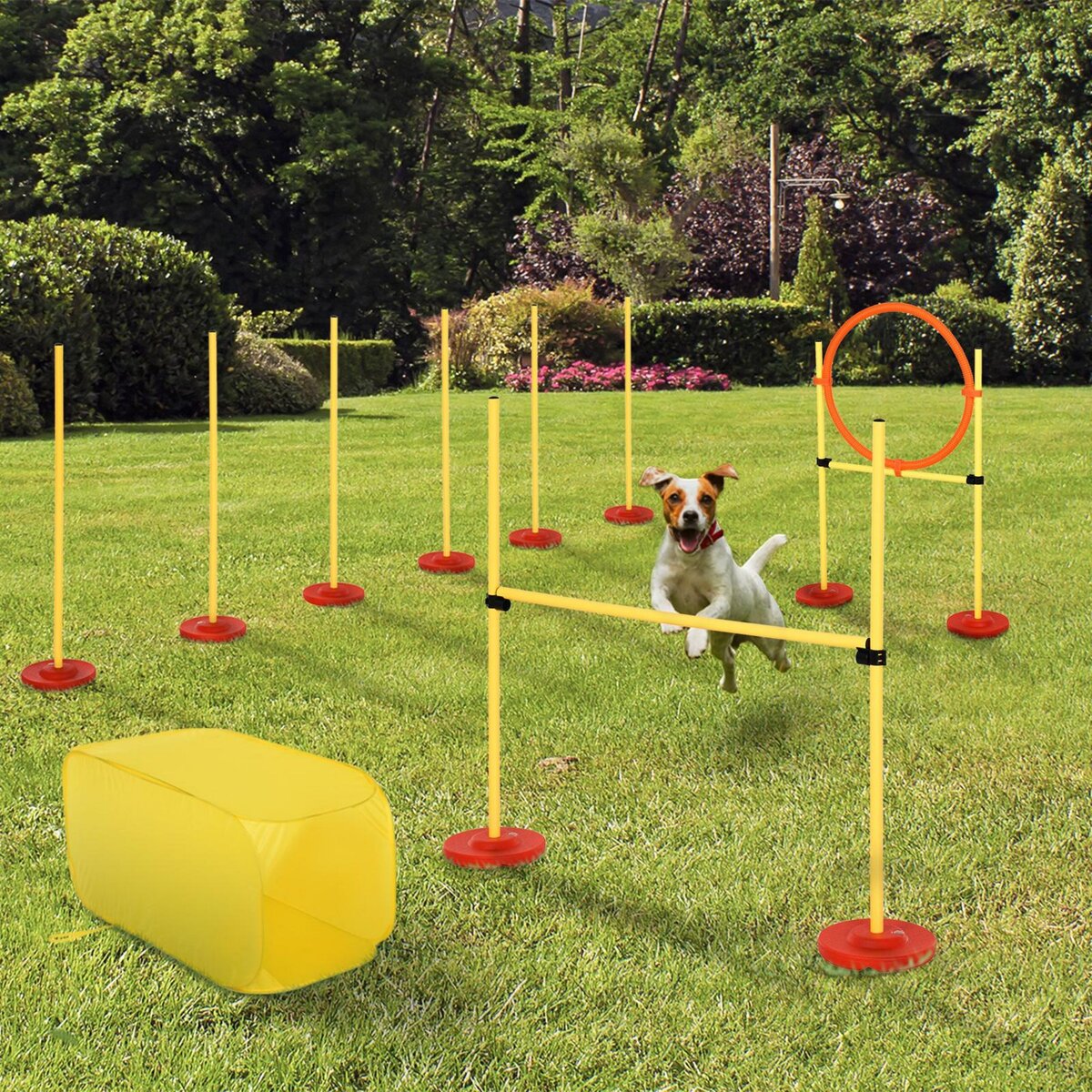 PAWHUT Agility sport pour chiens équipement complet haies, slalom, tunnel + sac de transport jaune