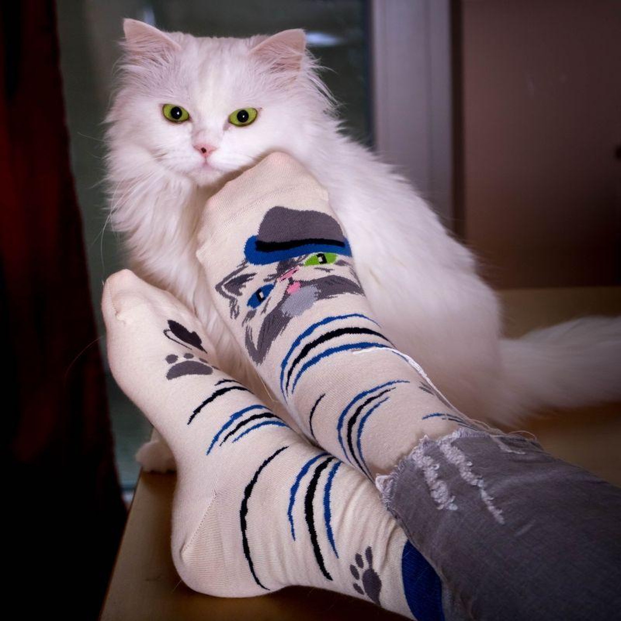 Voir la diapositive 3 : PIRIN HILL Chaussettes arty persan le chat