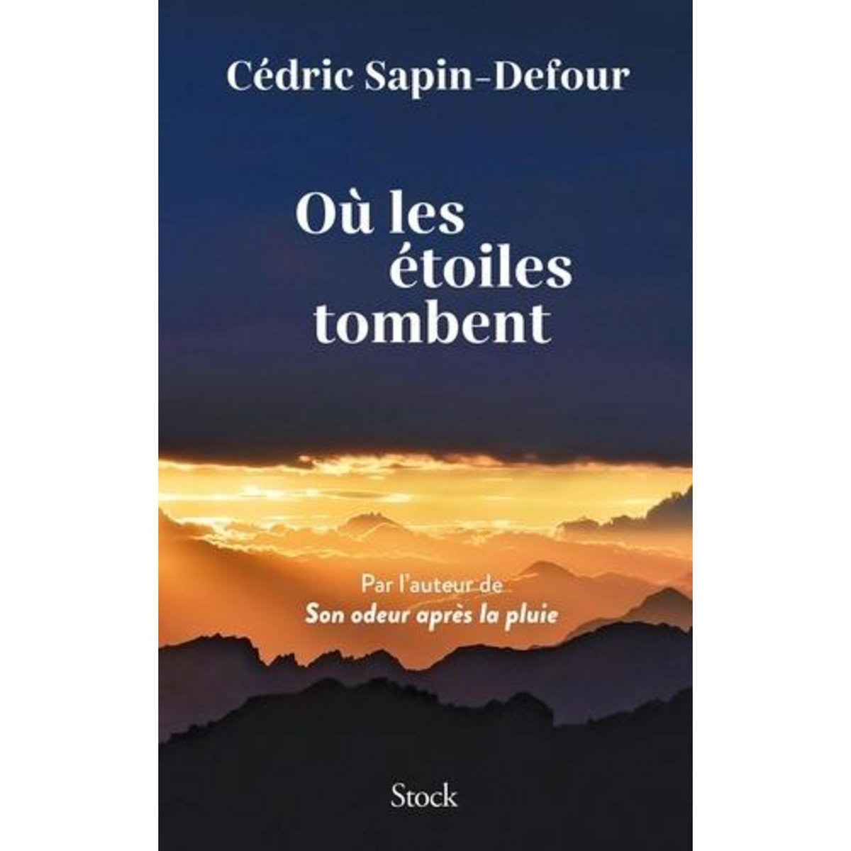 OU LES ETOILES TOMBENT, Sapin-Defour Cédric