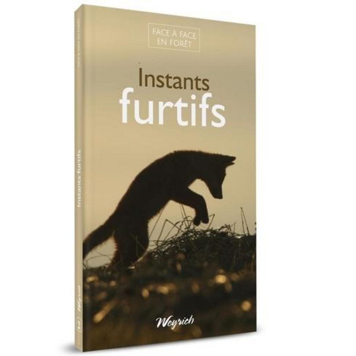 INSTANTS FURTIFS, Lenoir Etienne