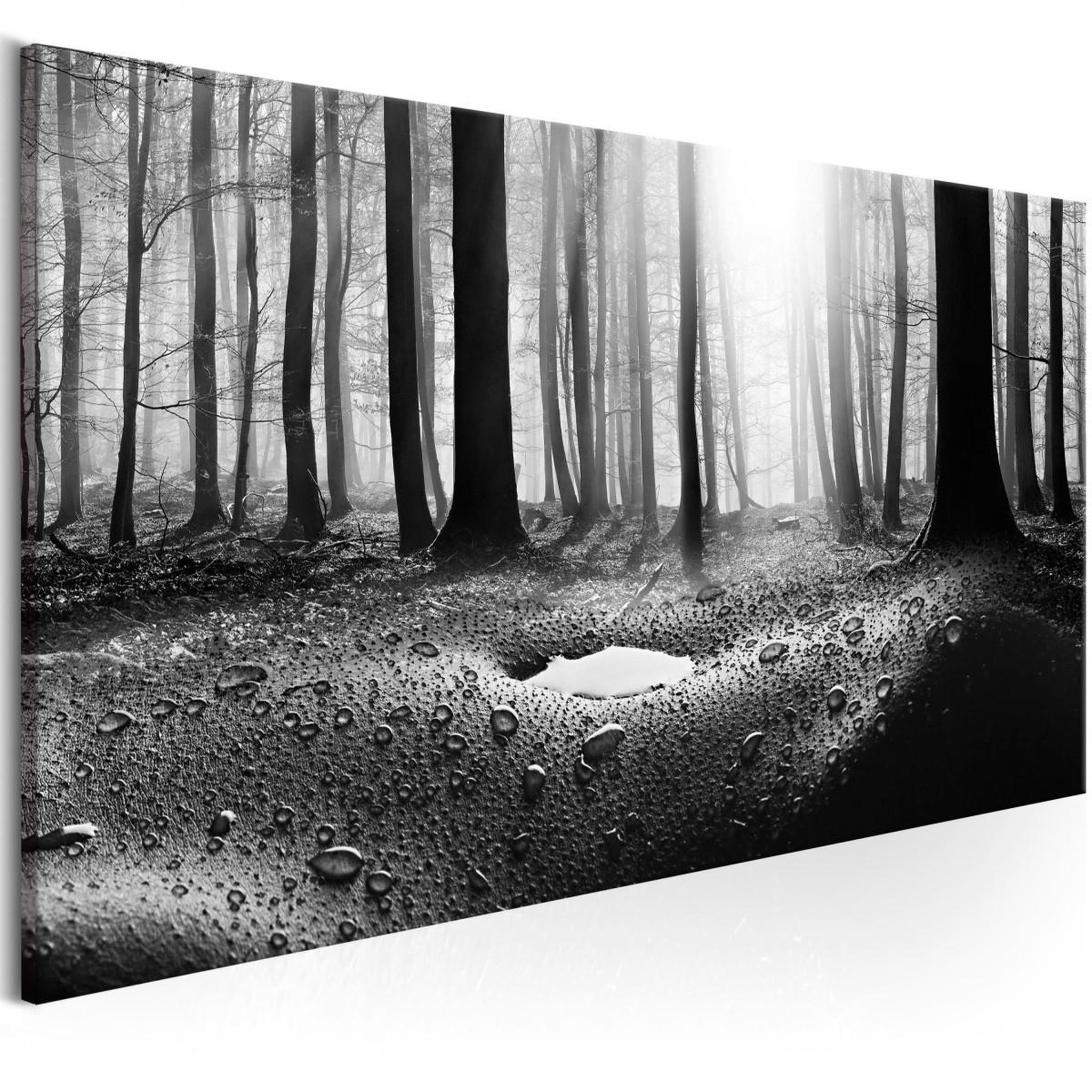 Voir la diapositive 1 : Paris Prix Tableau Imprimé  Forest After Rain Narrow