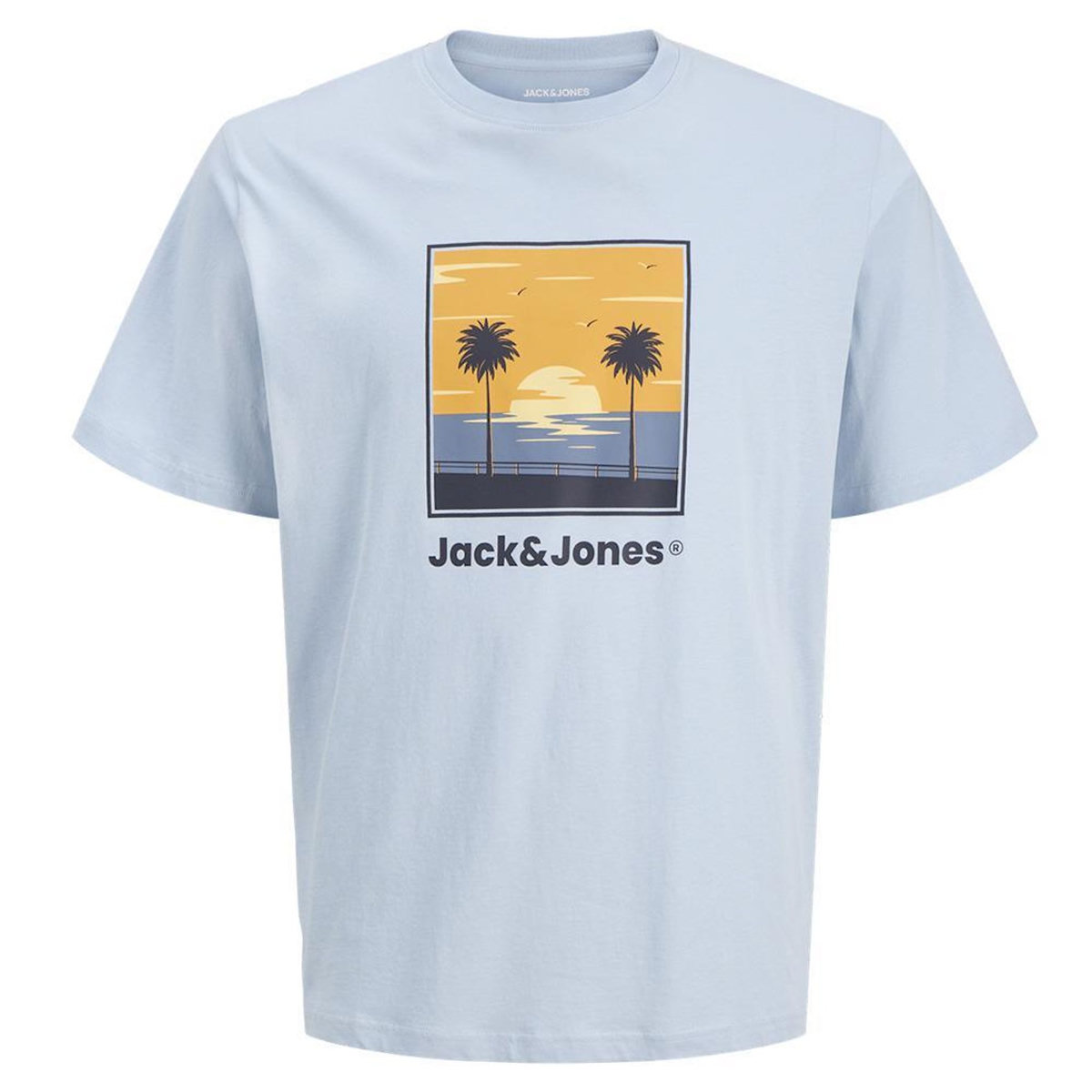 Jack & Jones T Shirt  Clair Garçon Jack & Jones Perry