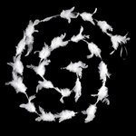 FEERIC LIGHT & CHRISTMAS Guirlande de Noël Plumes  Héritage  200cm Blanc