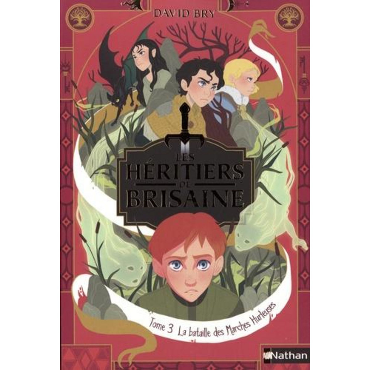 LES HERITIERS DE BRISAINE TOME 3 : LA BATAILLE DES MARCHES HURLEUSES, Bry David