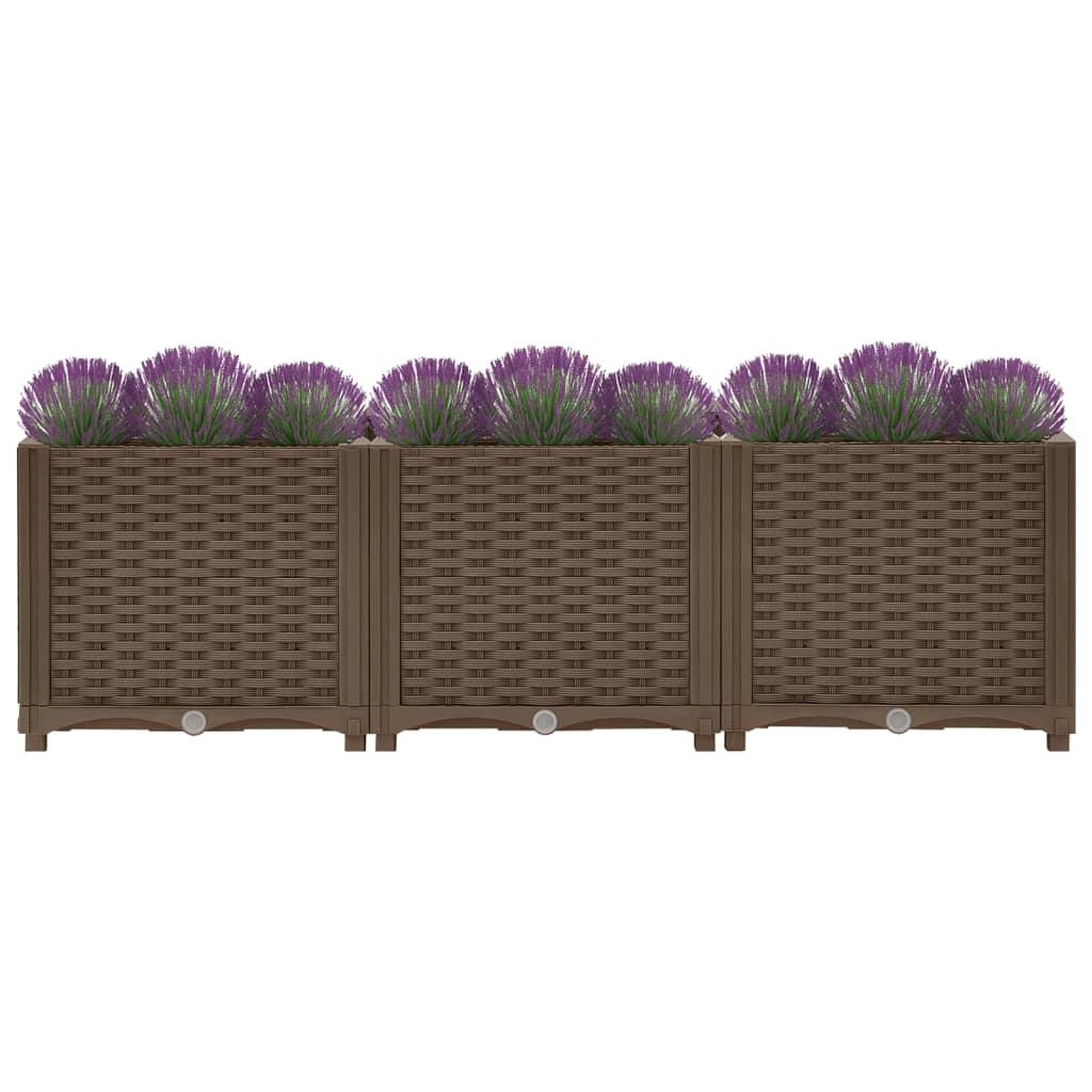 Voir la diapositive 3 : VIDAXL Lit sureleve 120x40x38 cm Polypropylene