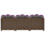 Voir la diapositive 3 : VIDAXL Lit sureleve 120x40x38 cm Polypropylene