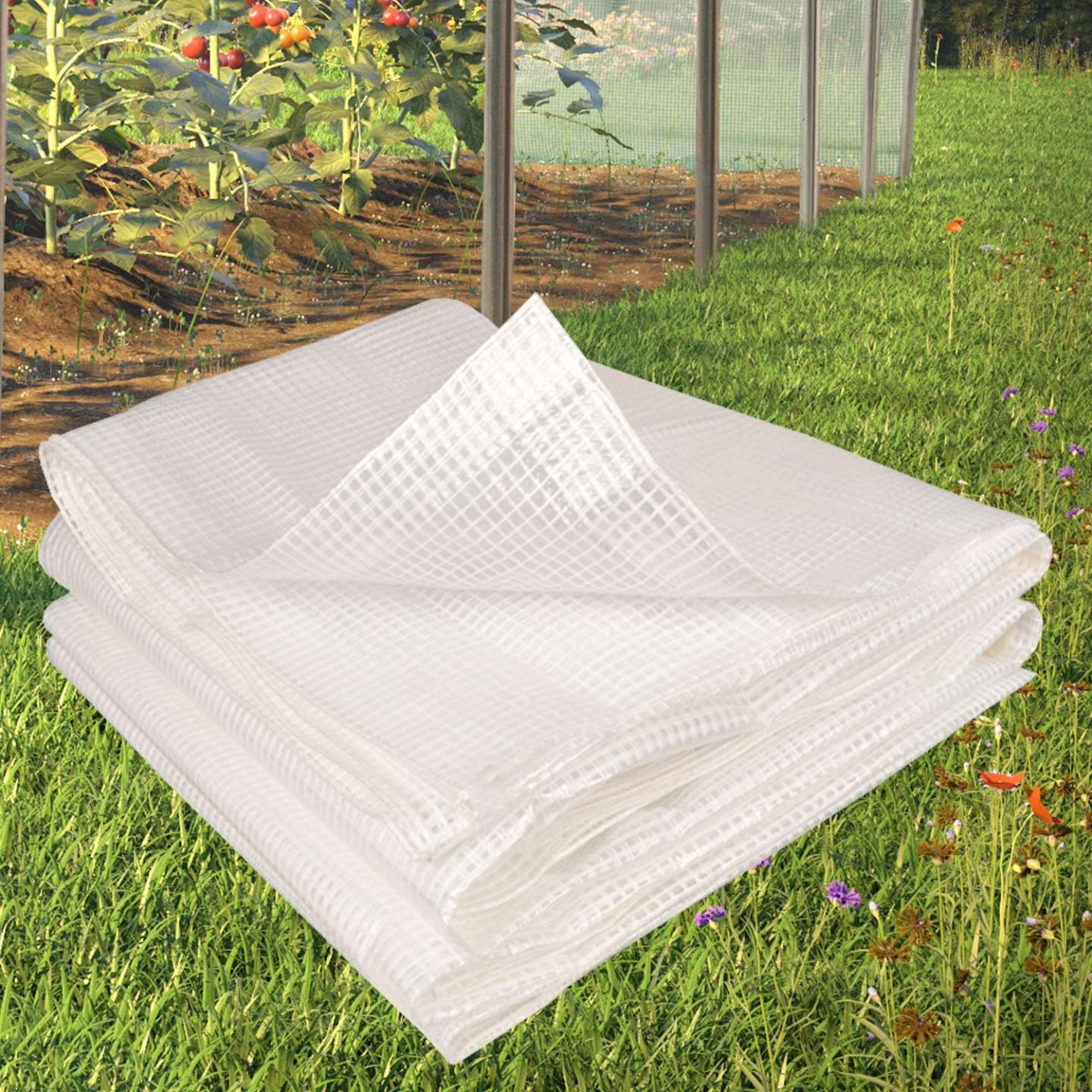 Voir la diapositive 2 : ID MARKET Bâche armée transparente 5x8 m renforcée