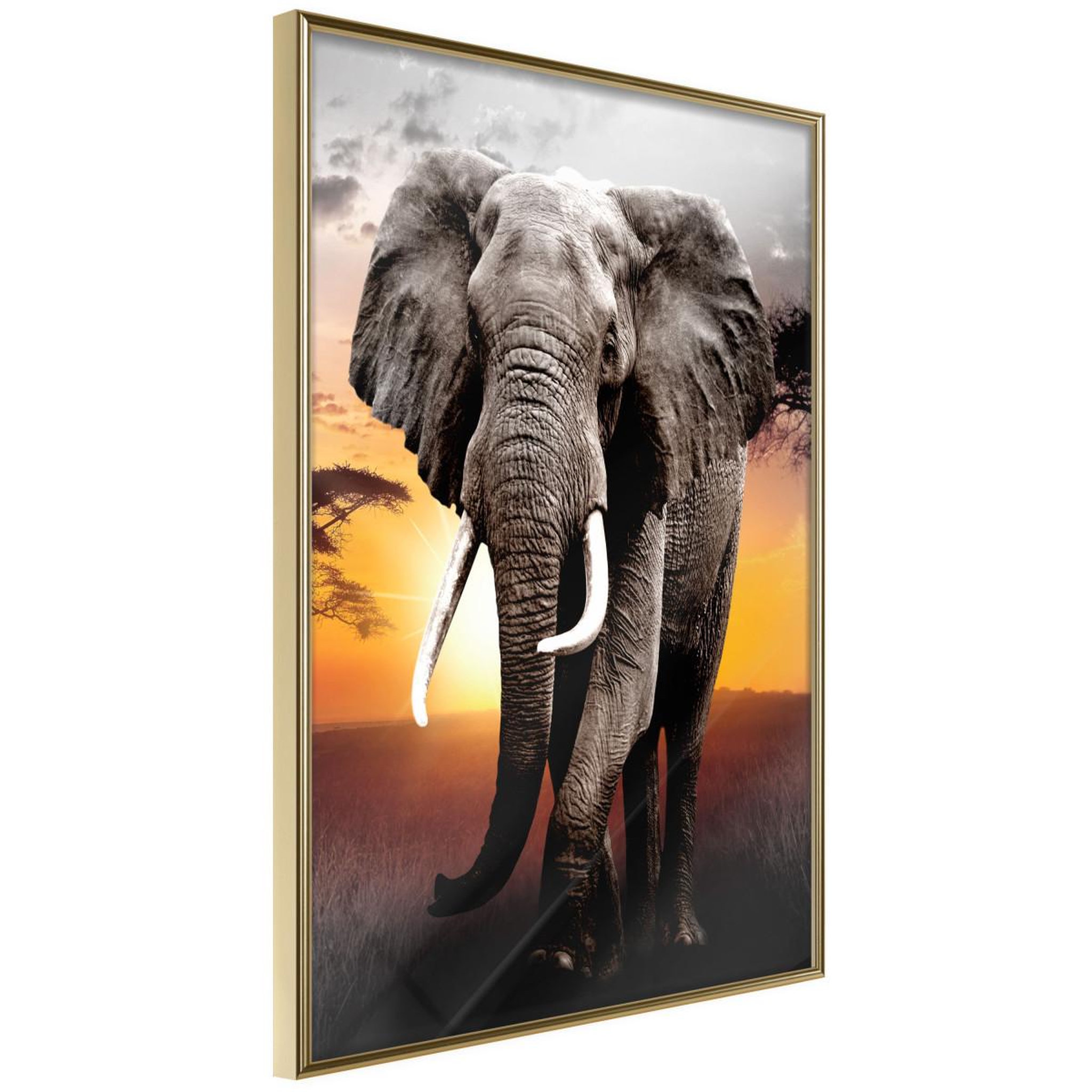 Paris Prix Affiche murale encadrée  majestic elephant