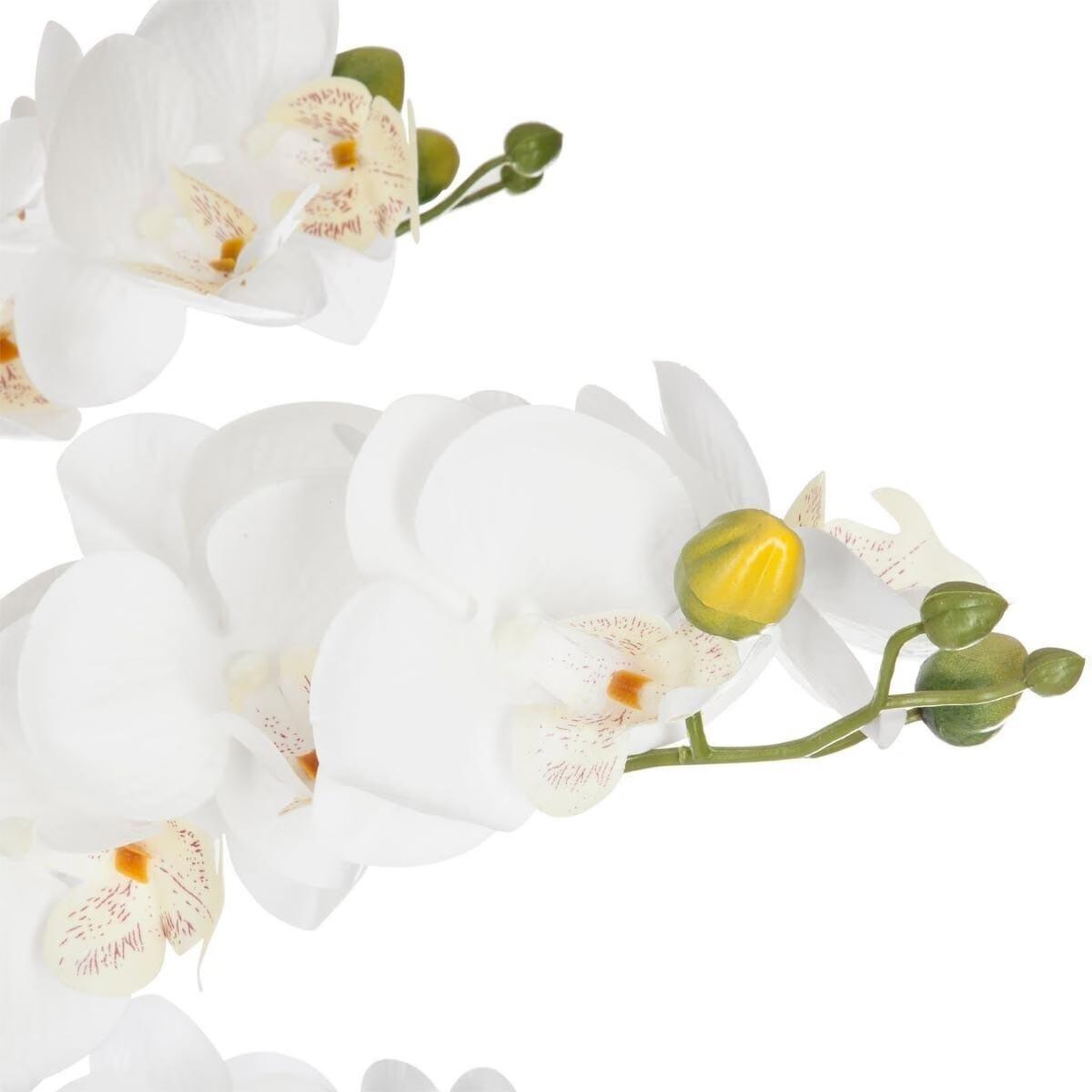 Voir la diapositive 2 : ATMOSPHERA Fleur artificielle pot ciment  orchidée  65cm noir