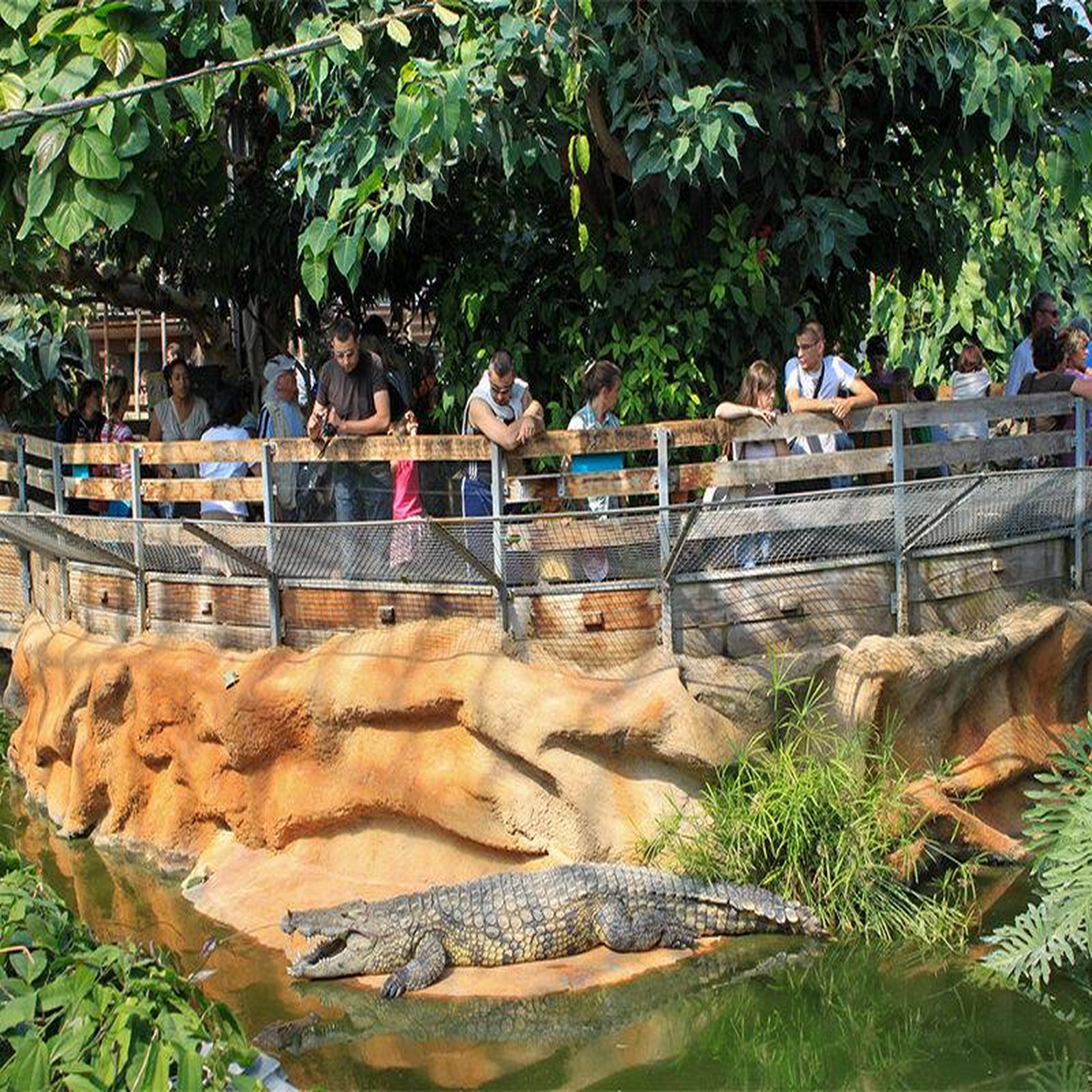 Voir la diapositive 2 : Smartbox Journée passionnante en famille à la ferme aux crocodiles, près d'avignon pour 4 - coffret cadeau sport & aventure