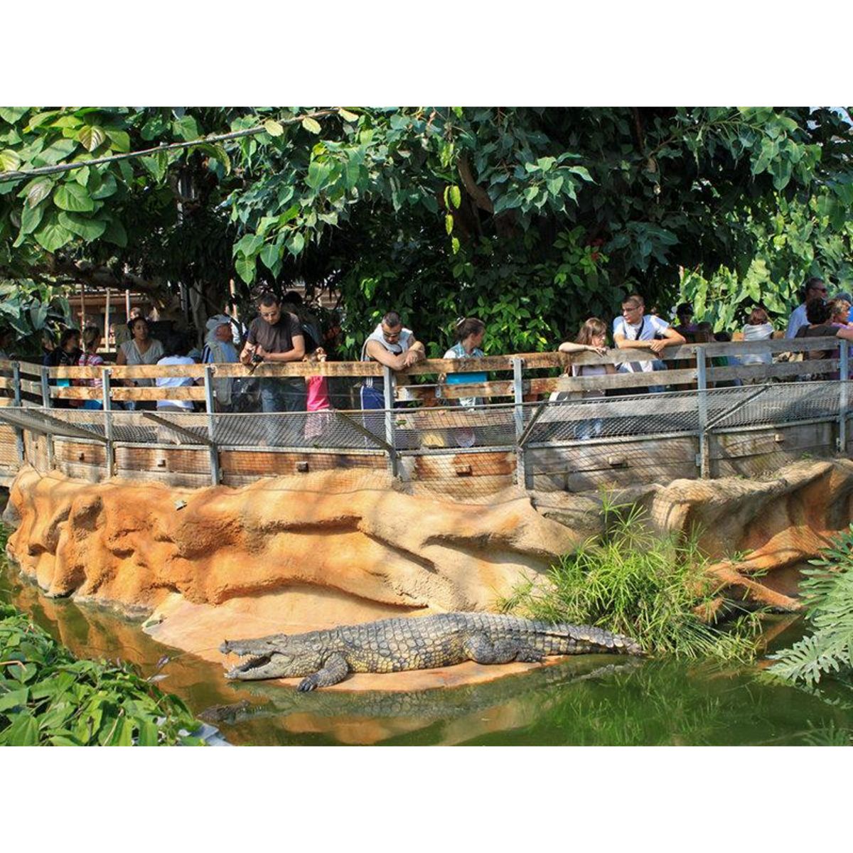 Smartbox Journée passionnante en famille à la Ferme aux Crocodiles, près d'Avignon pour 4 - Coffret Cadeau Sport & Aventure