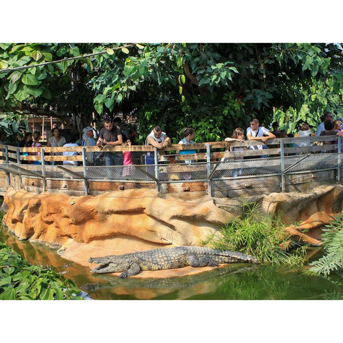 Smartbox Journée passionnante en famille à la Ferme aux Crocodiles, près d'Avignon pour 4 - Coffret Cadeau Sport & Aventure