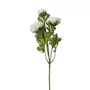 ATMOSPHERA Fleur Artificielle Renoncule 60cm Blanc