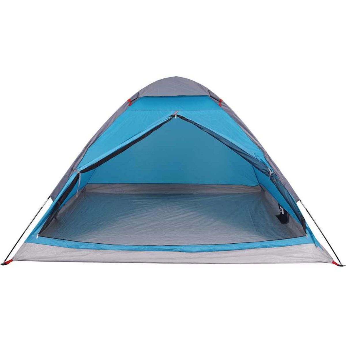 VIDAXL Tente de camping a dome 2 personnes bleu impermeable