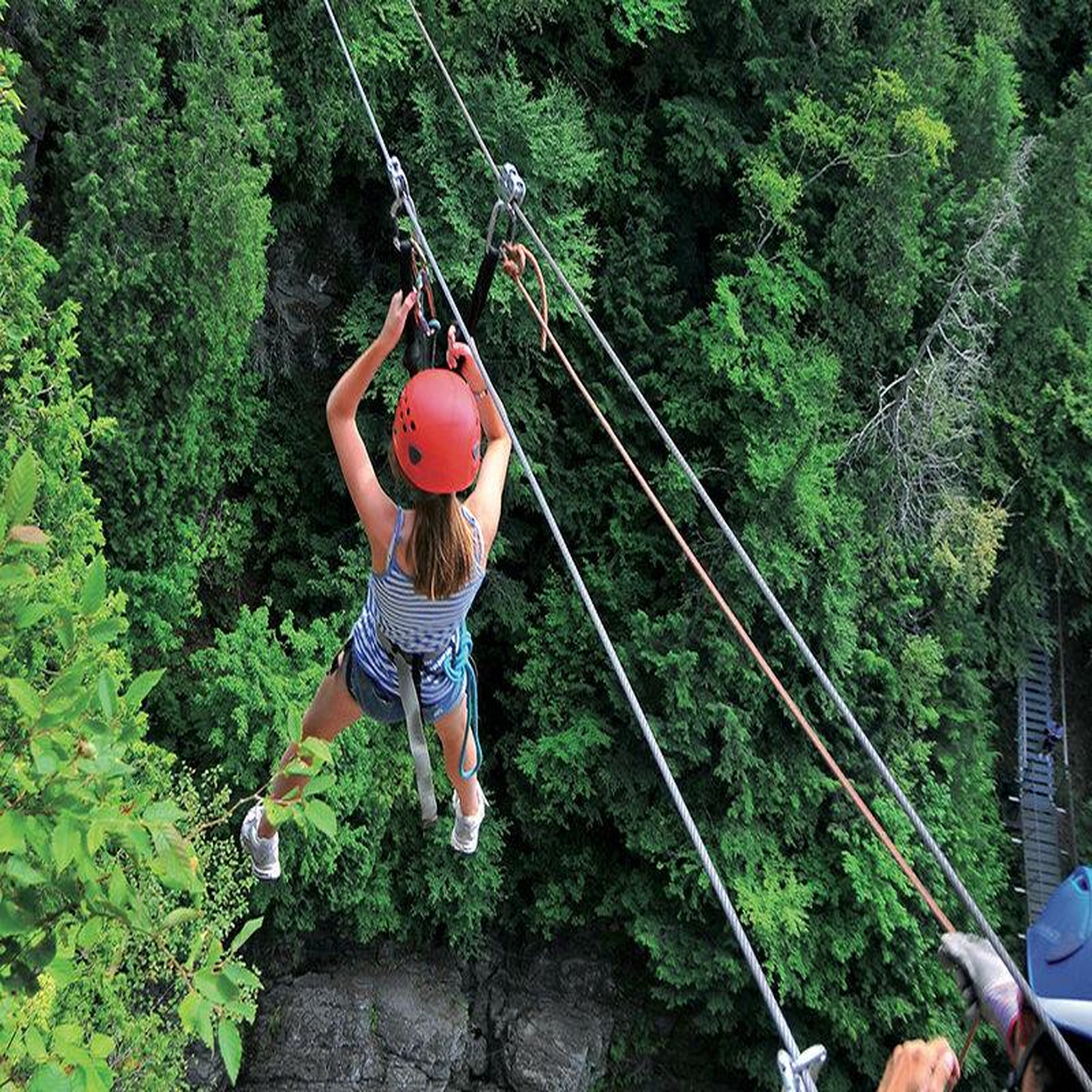 Voir la diapositive 3 : Smartbox Aventure dans les arbres : ponts & ziplines pour tous - coffret cadeau sport & aventure