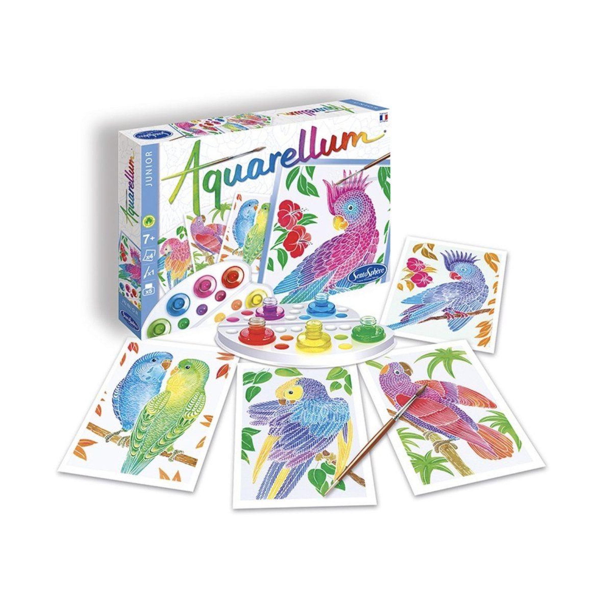 Voir la diapositive 2 : Sentosphere Aquarellum junior perroquets