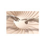 Voir la diapositive 2 : Paris Prix Papier Peint  Follow the Light