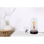 Voir la diapositive 2 : Paris Prix Lampe à Poser en Verre  Ceti  31cm Transparent