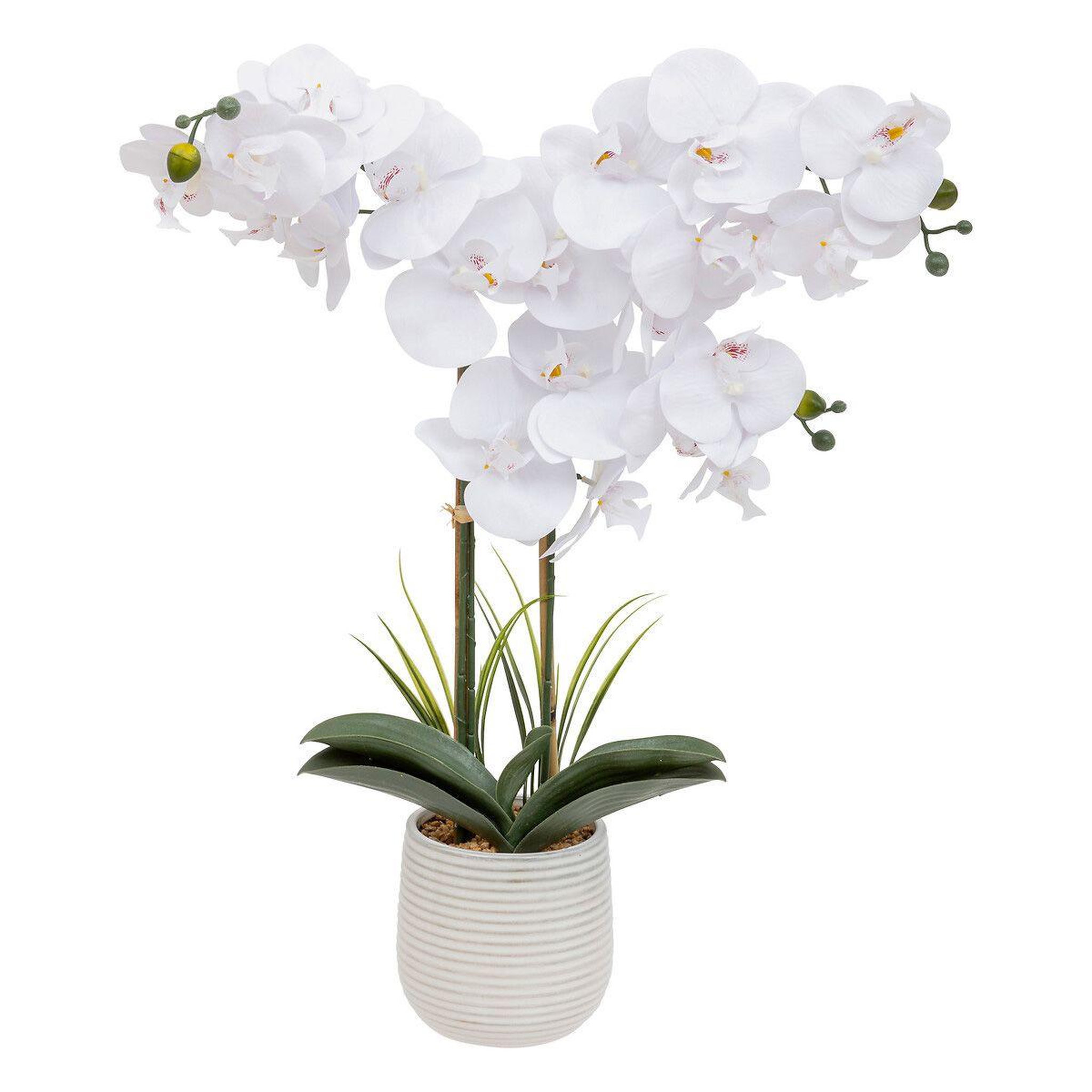ATMOSPHERA Orchidée artificielle en pot  riva  60cm blanc