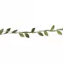 Rayher 4 guirlandes de feuilles vertes en papier 2 m