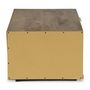Voir la diapositive 3 : Paris Prix Table Basse Design  Firmin  110m Marron & Or