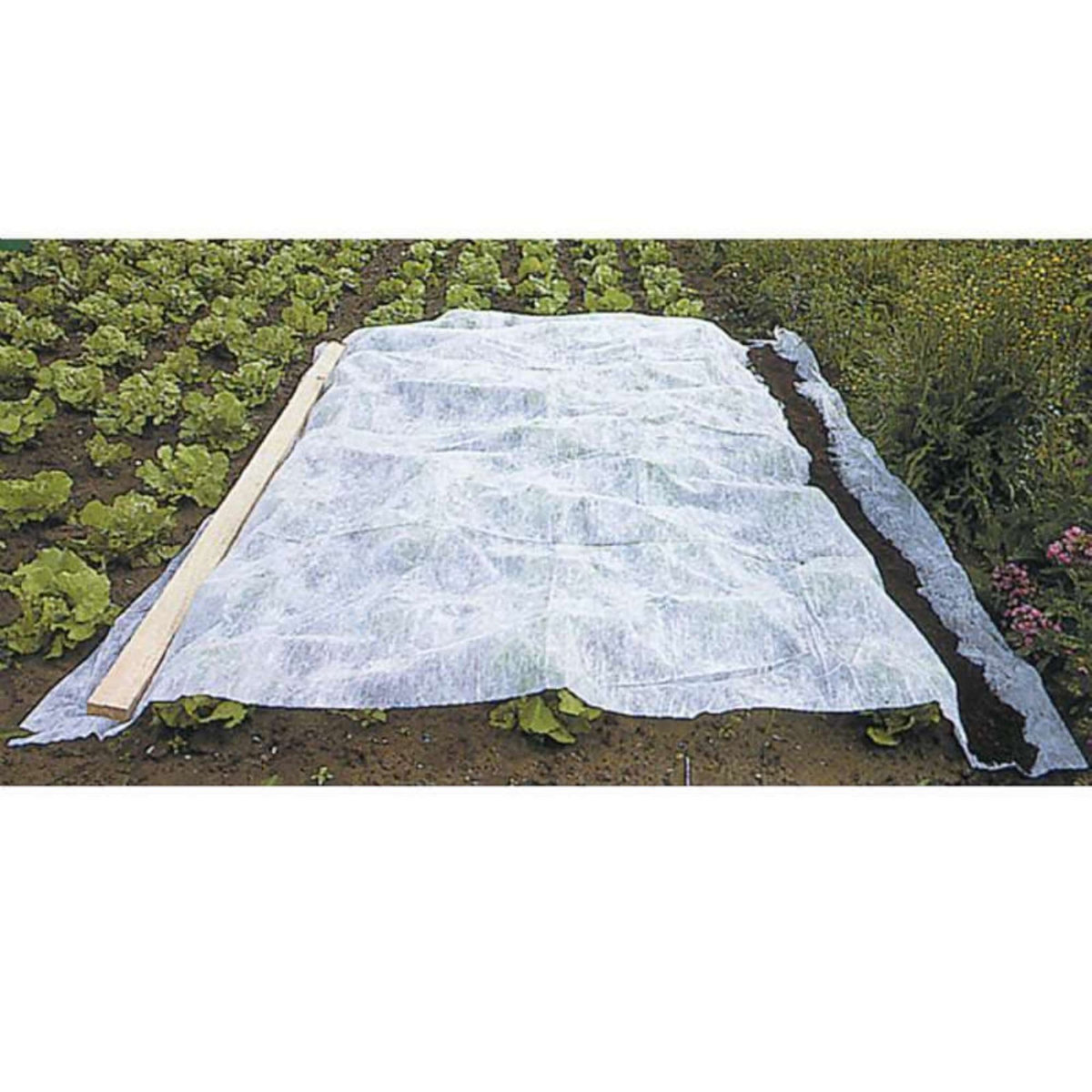  Voile d'hivernage blanc 60g-m2 Werkapro  2 x 5m