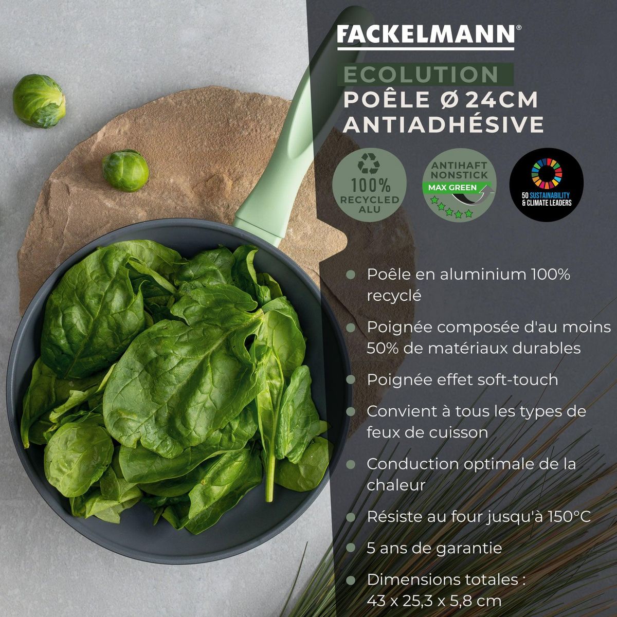 Fackelmann Lot de 2 poêles à frire de 20 cm et 24 cm en aluminium recyclé Fackelmann Ecolution