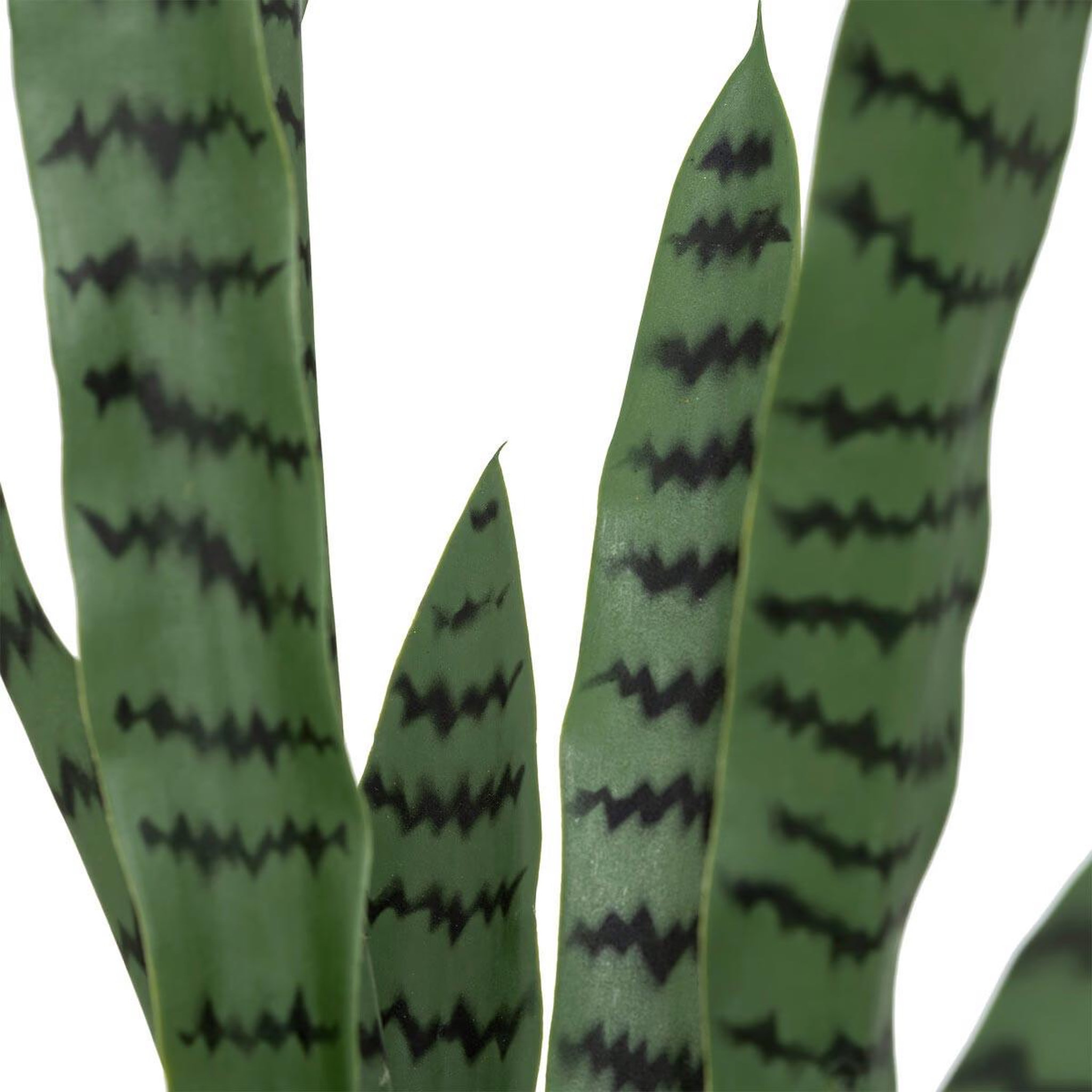 Voir la diapositive 2 : ATMOSPHERA Plante artificielle sansevieria  toby  90cm vert