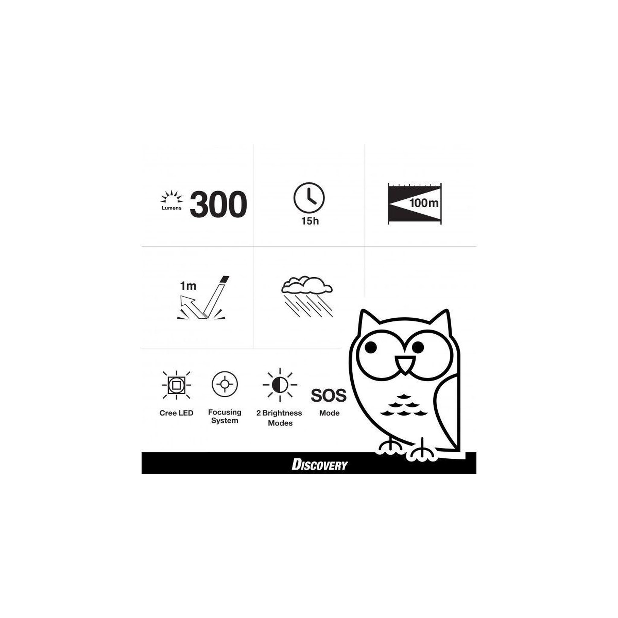 Voir la diapositive 3 : GP BATTERIES Lampe LED 300 Lumens C32