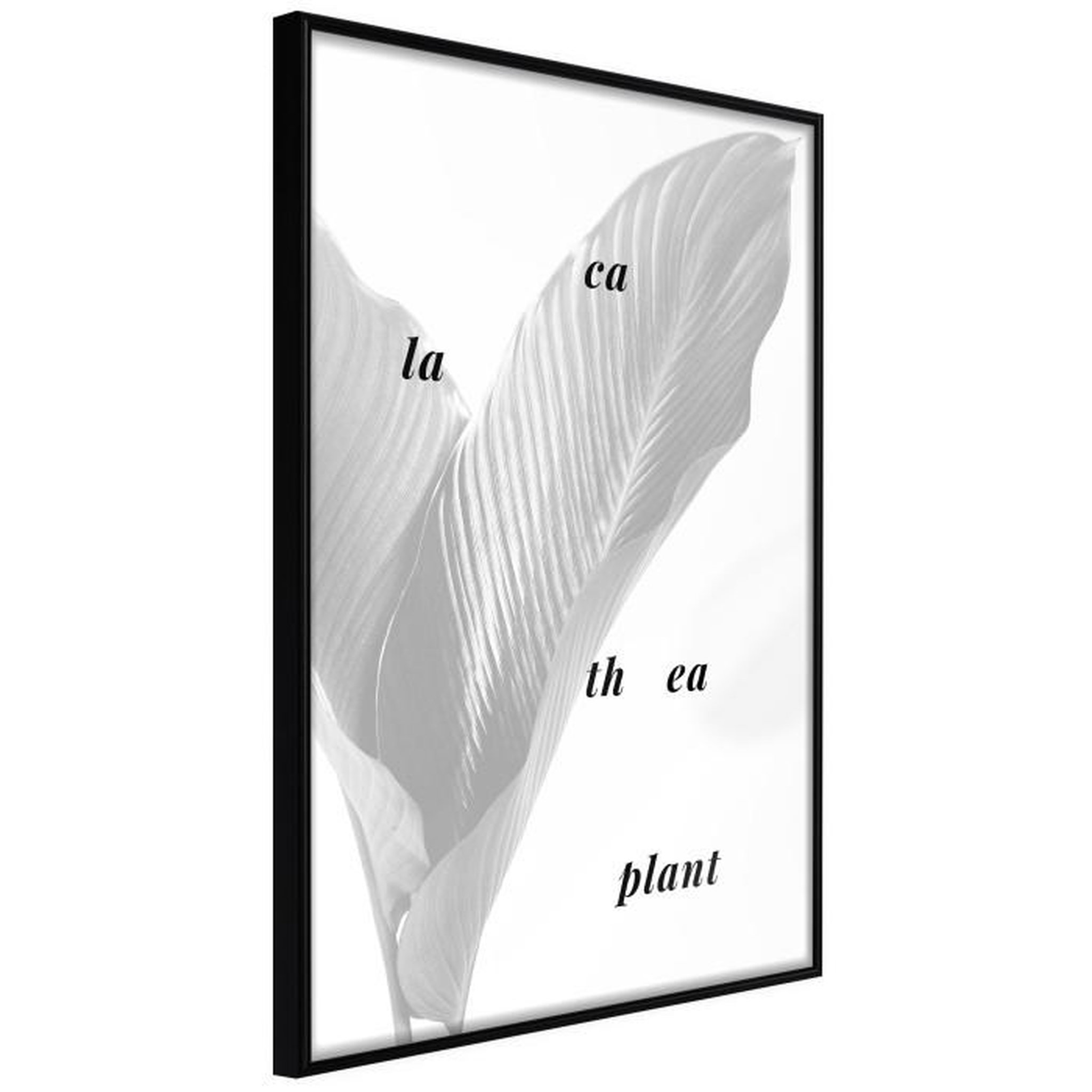 Paris Prix Affiche Murale Encadrée  Calathea Leaves. Coloris disponibles : Noir, Jaune