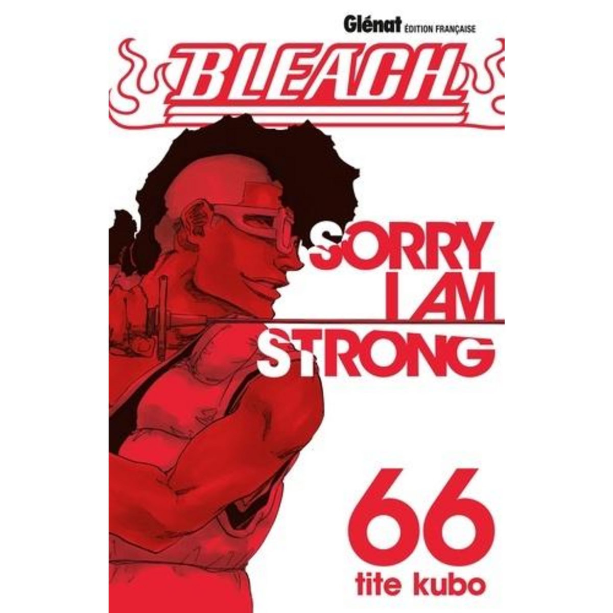 BLEACH TOME 66 : SORRY I AM STRONG, Kubo Tite