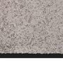 Voir la diapositive 4 : VIDAXL Paillasson Gris 80x120 cm