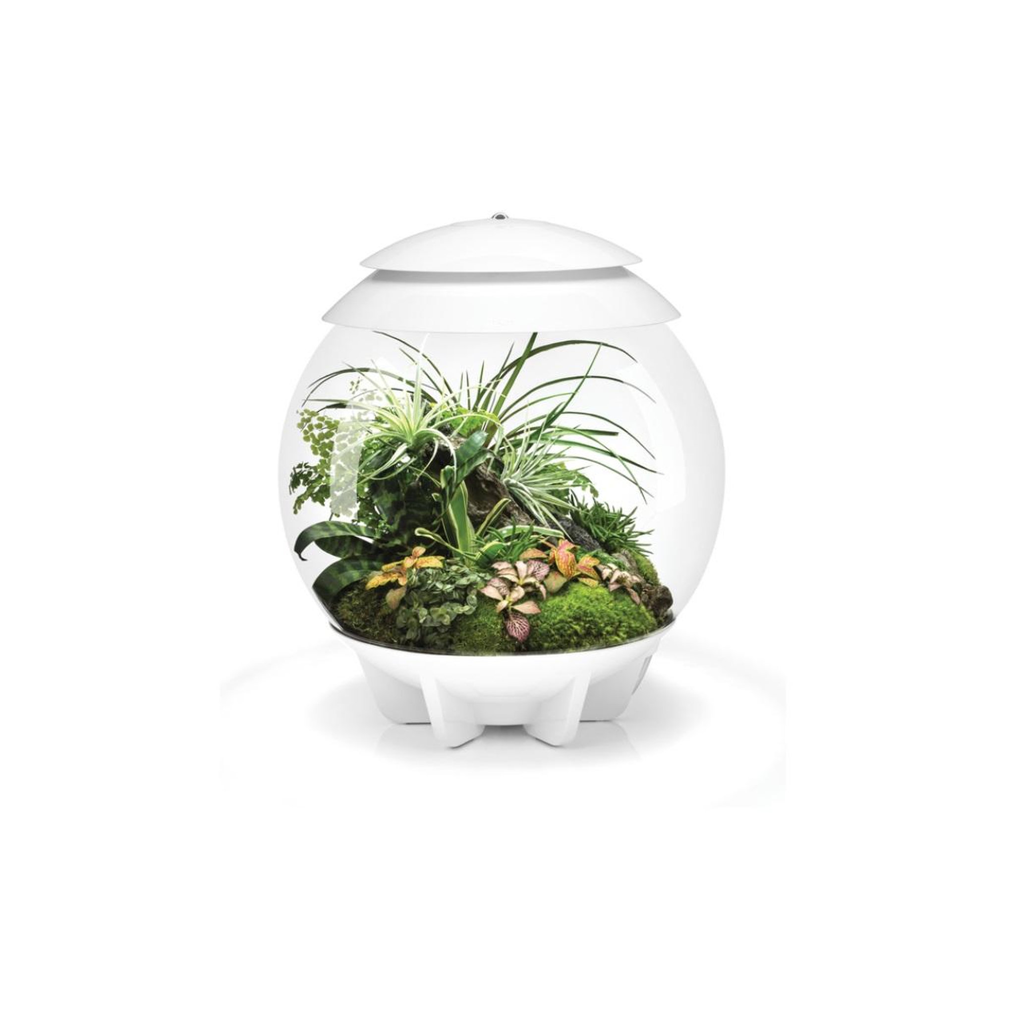 Oase Terrarium automatisé 30l blanc - air30white