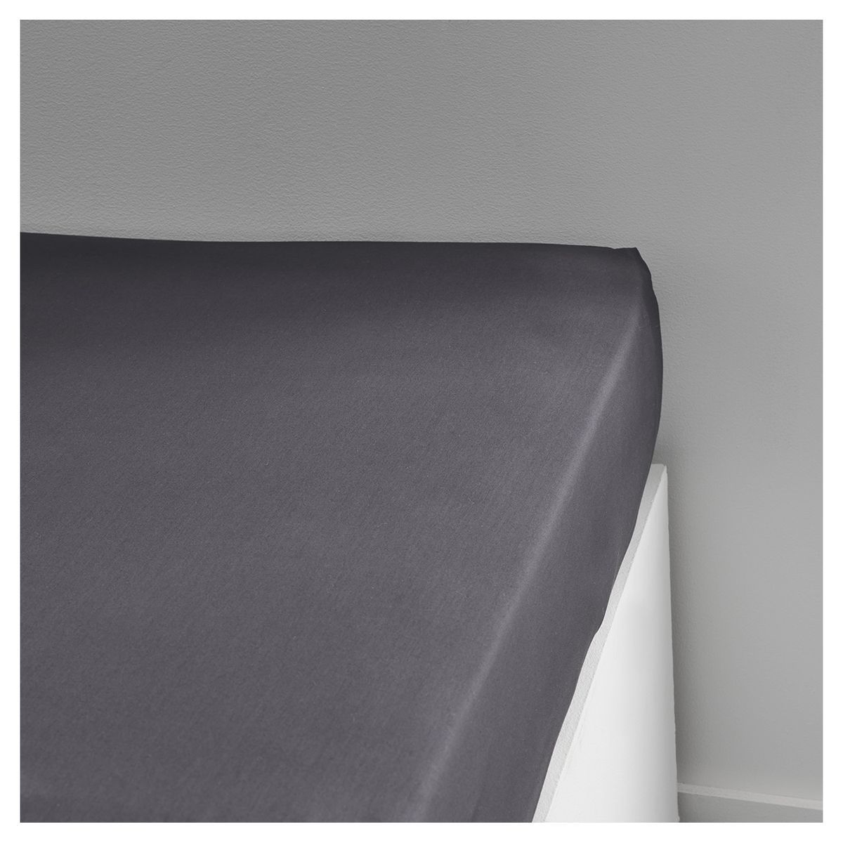 TODAY Drap Housse uni en Percale de coton 