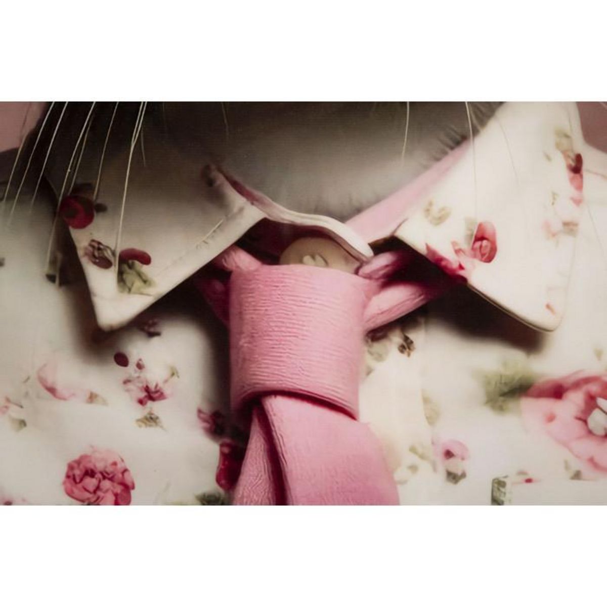 Paris Prix Tableau Imprimé Déco  Bunny  62x62cm Rose